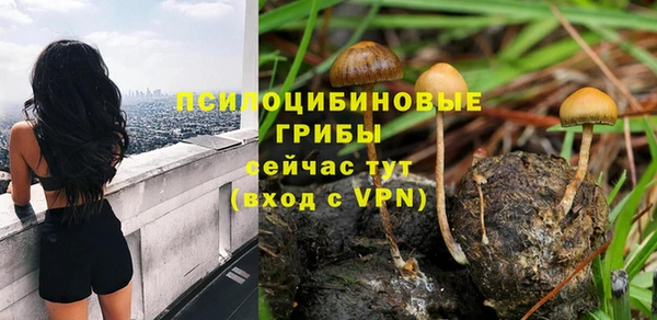 mdpv Магас