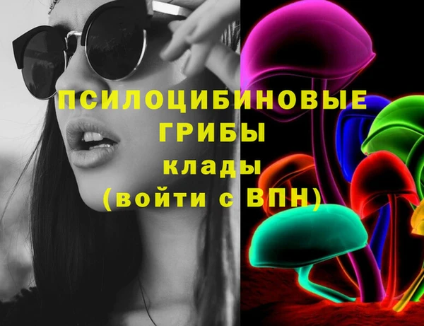 тгк Дмитровск